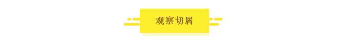 泰钜带锯条,AA带锯条,飞钜带锯条,湖南锯床配件,硬质合金带锯条,带锯条厂家,带锯条价格,带锯条批发